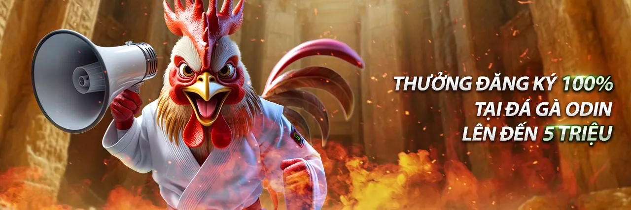 Các bước đăng nhập 8kbet chi tiết